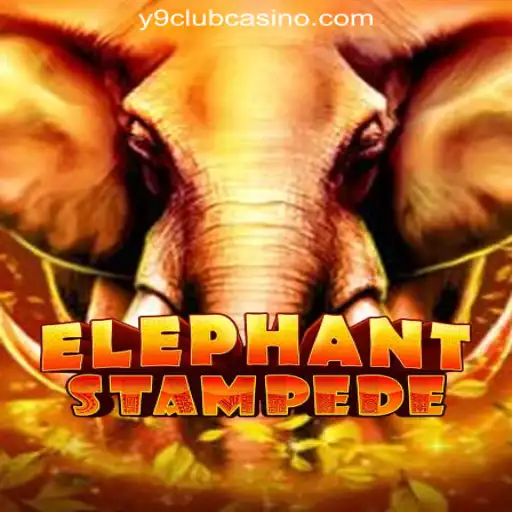 ElephantStampede: Discover the Excitement at Y9CLUB Online Casino Philippines
