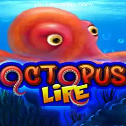 Dive into the World of OctopusLife: Explore the Innovative Game with Y9CLUB Online Casino Philippines